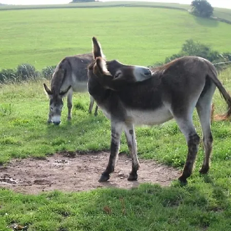 Курортный комплекс Haus 1 - Typ B *