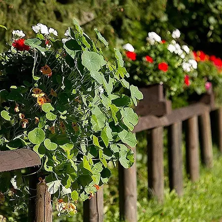 Курортный комплекс Haus 1 - Typ B Schonecken