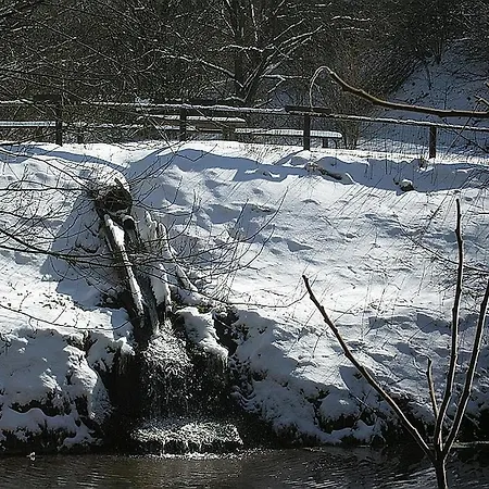 Haus 1 - Typ B Resort Schönecken