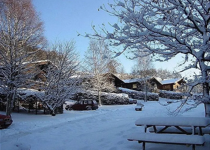 Haus 1 - Typ B * Schönecken