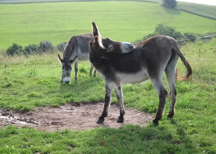 Resort Haus 1 - Typ B *