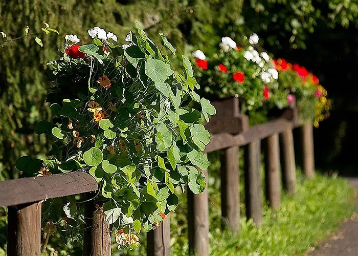 Resort Haus 1 - Typ B Schönecken