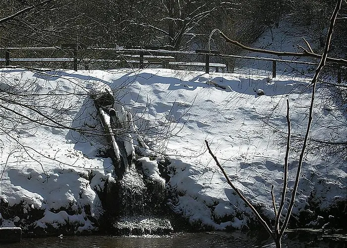 Haus 1 - Typ B Resort Schönecken